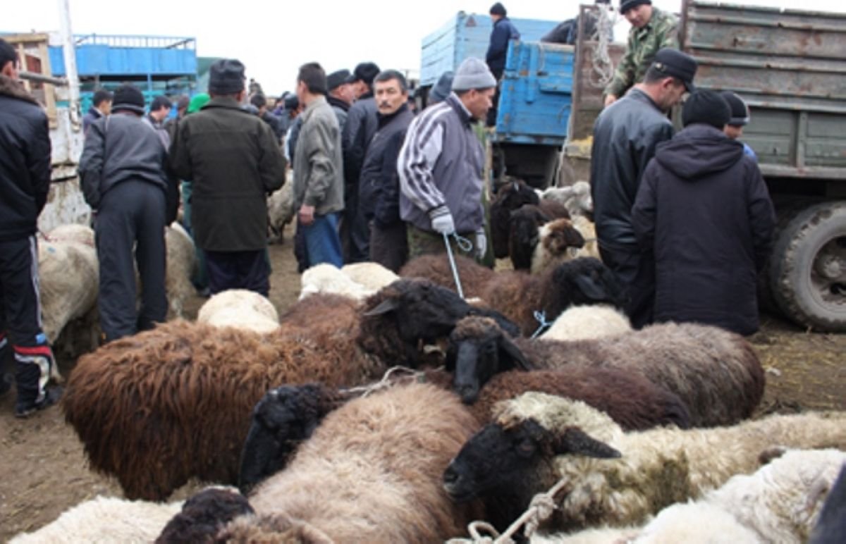 Алматы облысында үш ағайындының өліміне қатысты іс сот органына түсті