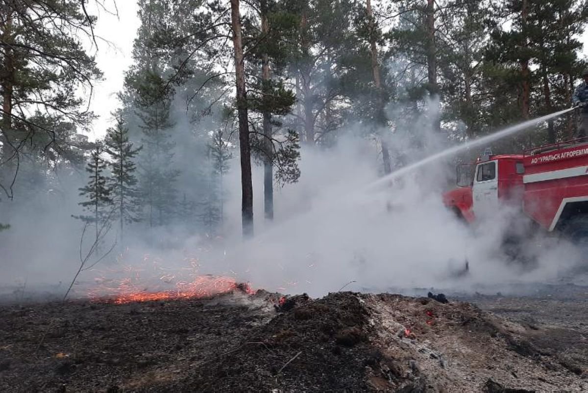 Шығыс Қазақстан облысындағы орман өрті сөндірілді