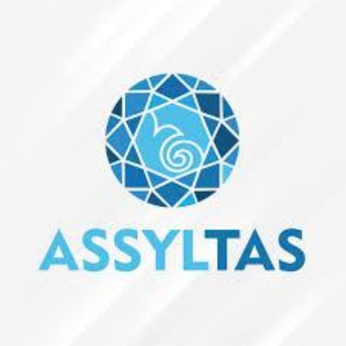 ASSYLTAS қайырымдық қоры 200 отбасыға жәрдемдеседі