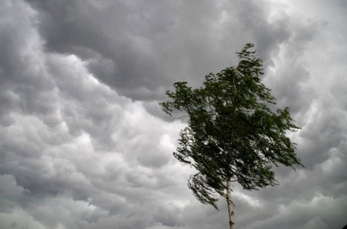 Еліміздің 8 өңірінде дауылды ескерту жарияланды