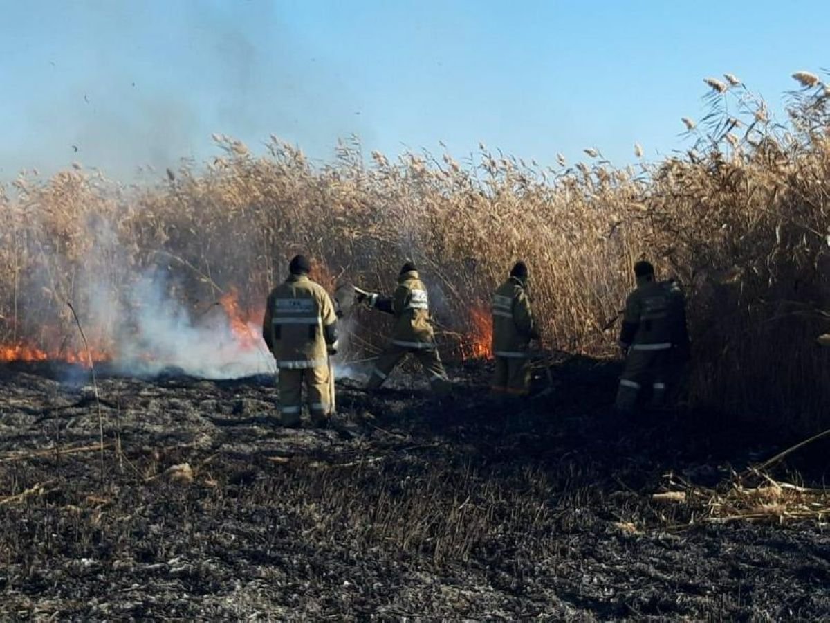 Каспий жағалауы бес күннен бері өртеніп жатыр