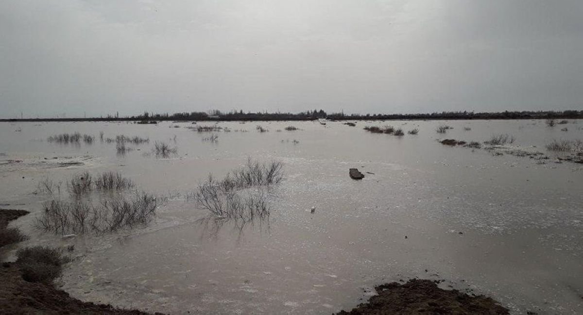 Байқоңырда мәйіті табылған баланың неден көз жұмғаны белгілі болды