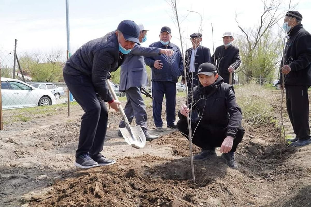 Түркістанда тәуелсіздіктің 30 жылдығы құрметіне 30 миллион ағаш отырғызылады