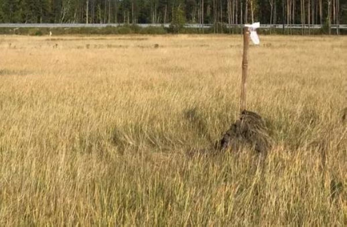 Ақмола облысының әкімдігі бір жер учаскесін екі рет сатқан