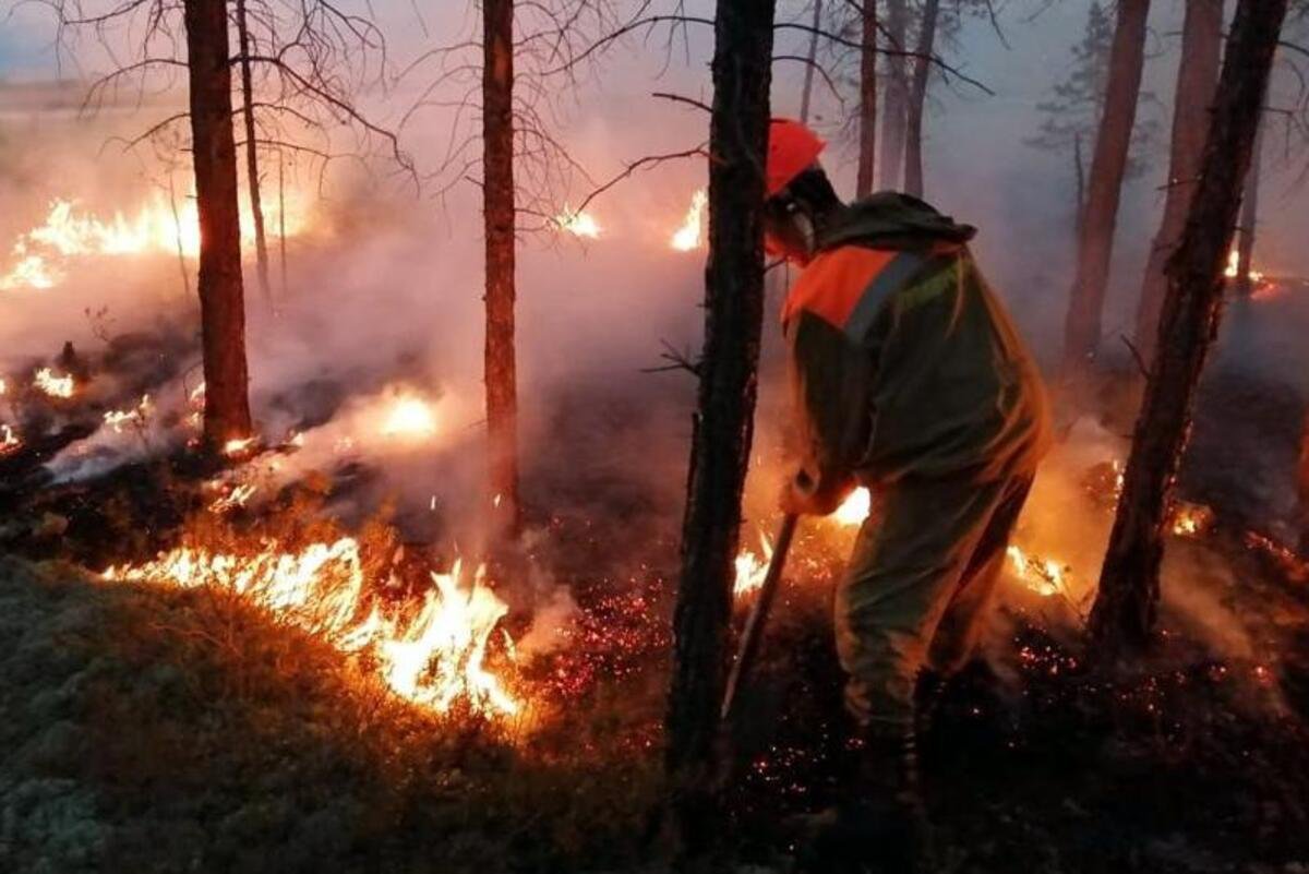 Ресейде алапат өрт шығып, 500 үй жанып кетті