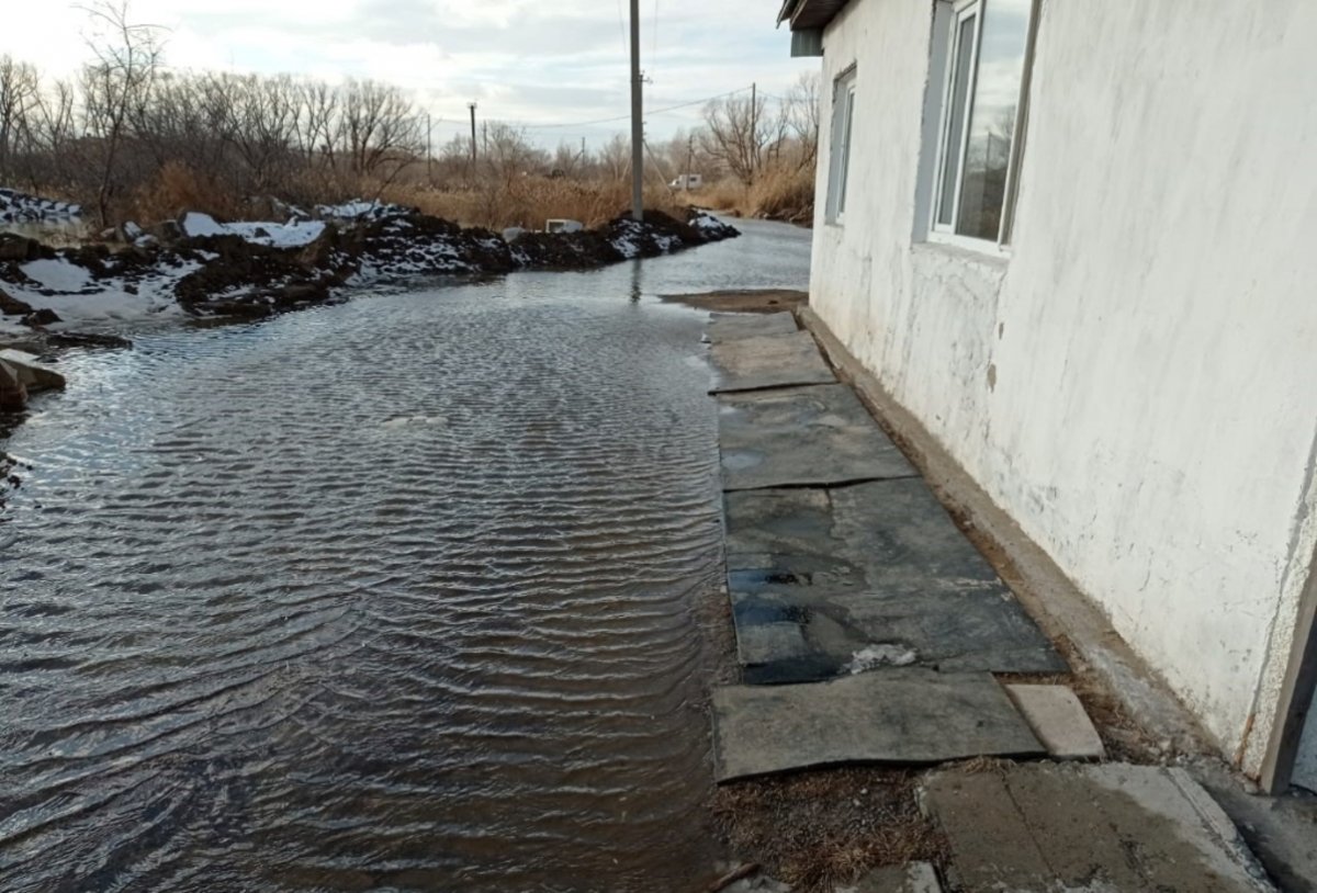 Павлодарда көпбалалы отбасы кәсіпорынды сотта жеңіп шықты