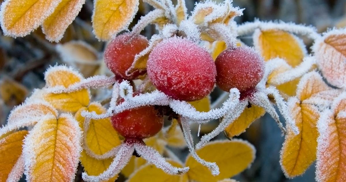 Үсік жүреді: бірнеше өңірде ауа райына байланысты дауылды ескерту жарияланды