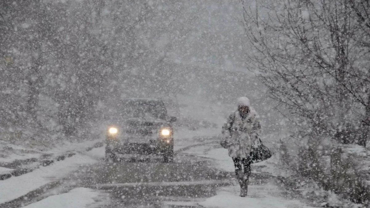 Ерлі-зайыпты мен немересінің өлімі: оқиғаның мән-жайы анықталды