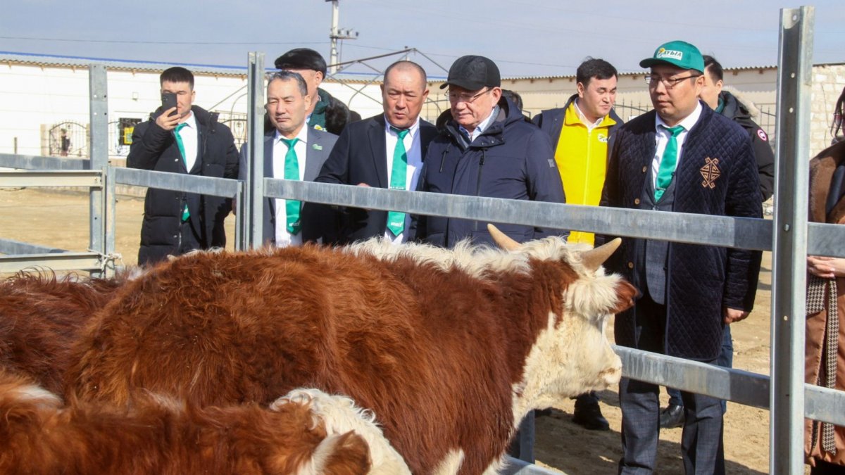 Ауыз су мәселесі – Маңғыстау облысының басты мәселелерінің бірі