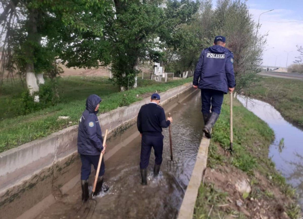 Түркістан облысында 9-сынып оқитын қызды өлтірген күдікті ұсталды