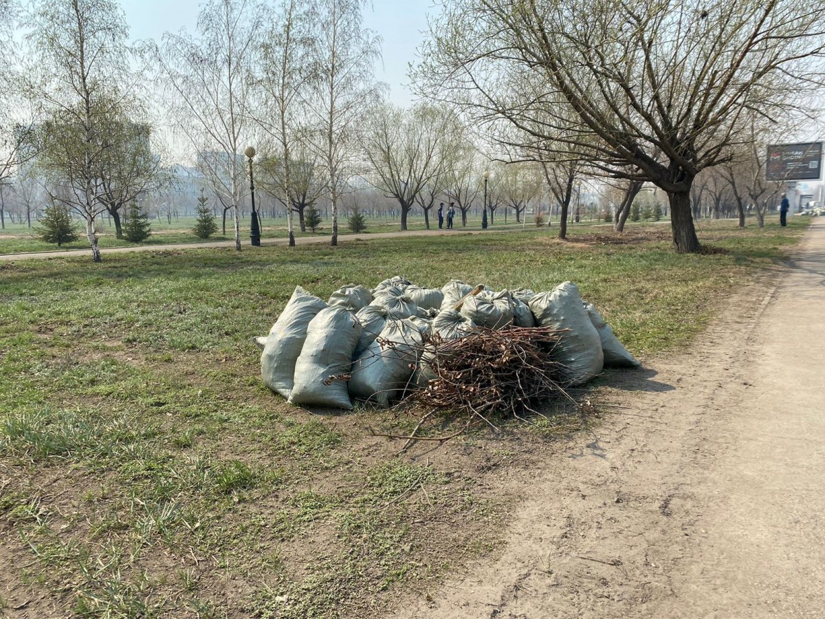 Бүгін Астанада жалпықалалық сенбілік өтті