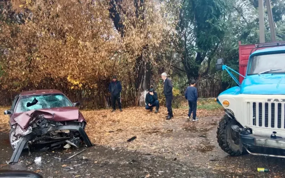 Жетісу облысында көлік апатынан 9 адам зардап шекті