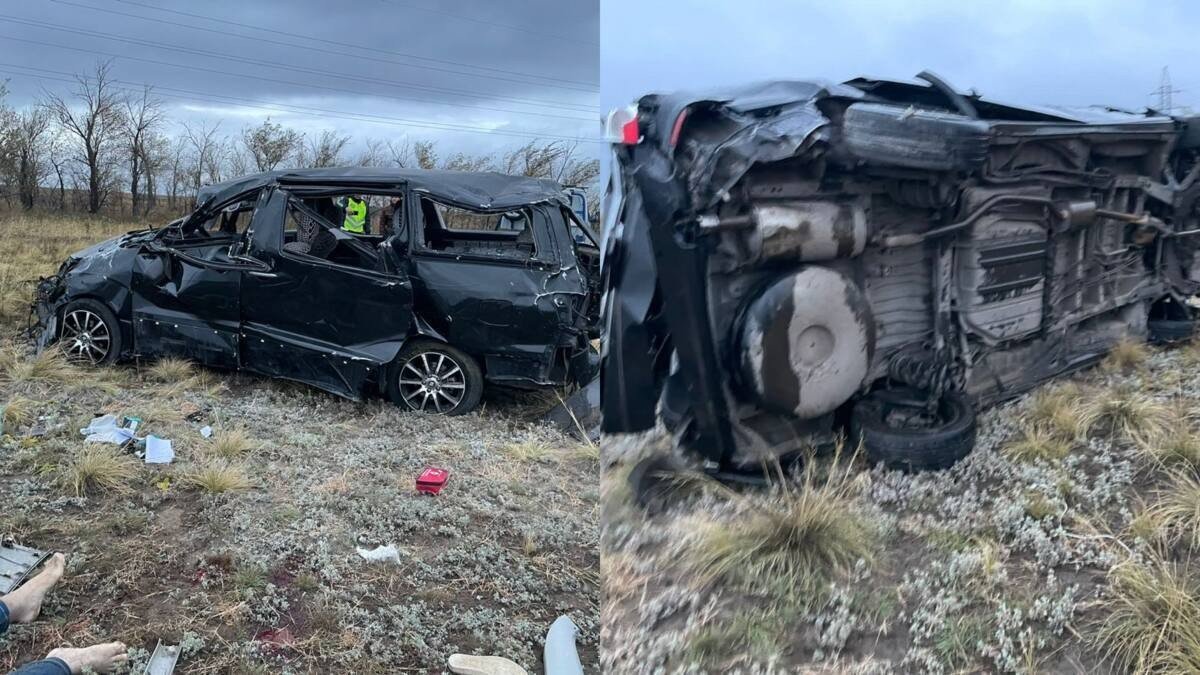 Павлодар облысында көлік апатынан жүргізуші мерт болды