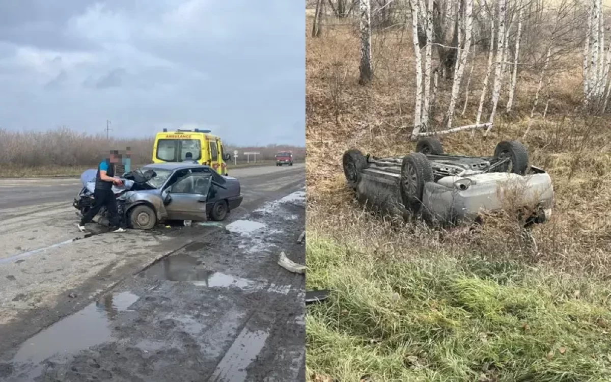 СҚО-да 7 адам зардап шеккен жантүршігерлік жол апаты болды