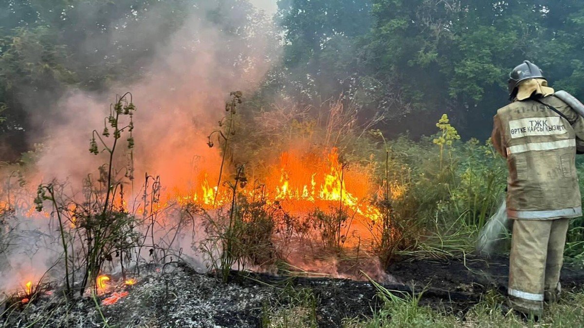 14 адамның өмірін жалмаған Семей орманындағы өртке не себеп болғаны анықталды