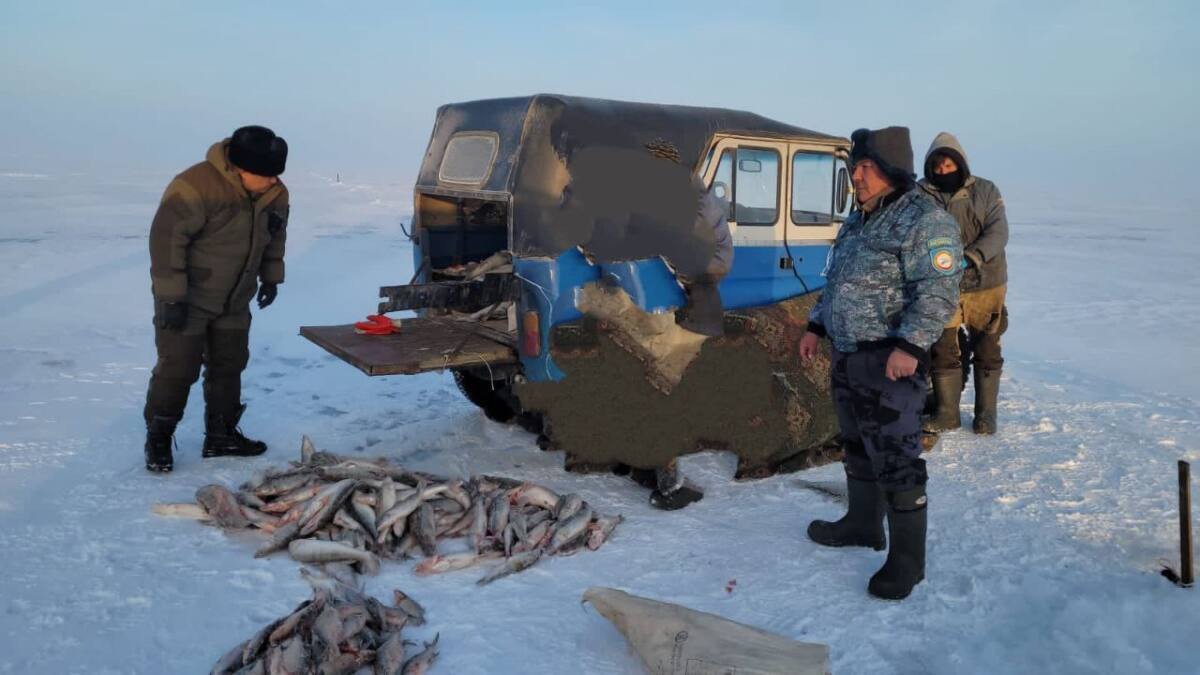 Жетісу облысында браконьерден 120 келіден астам балық тәркіленді