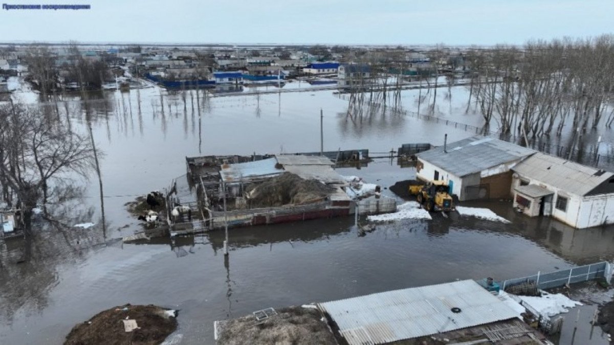 Министрлік су тасқынынан қырылған мал санын жариялады