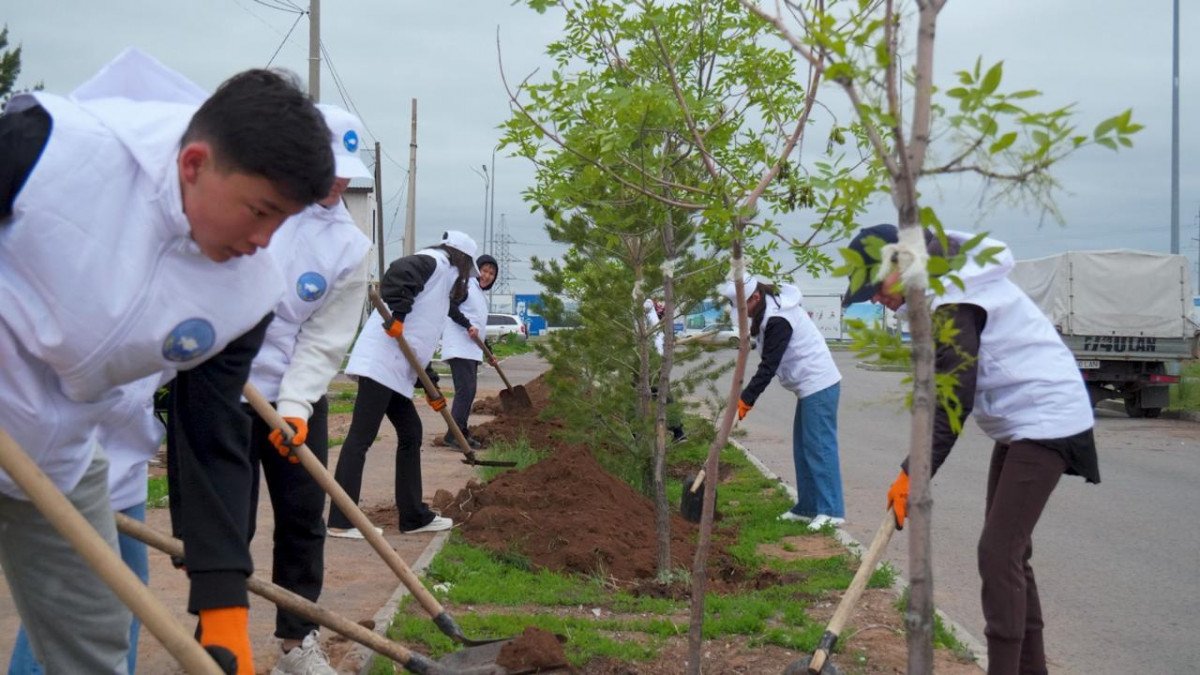 Қазақстан халқы Ассамблеясы жастар қанатының өкілдері елордада ағаш екті