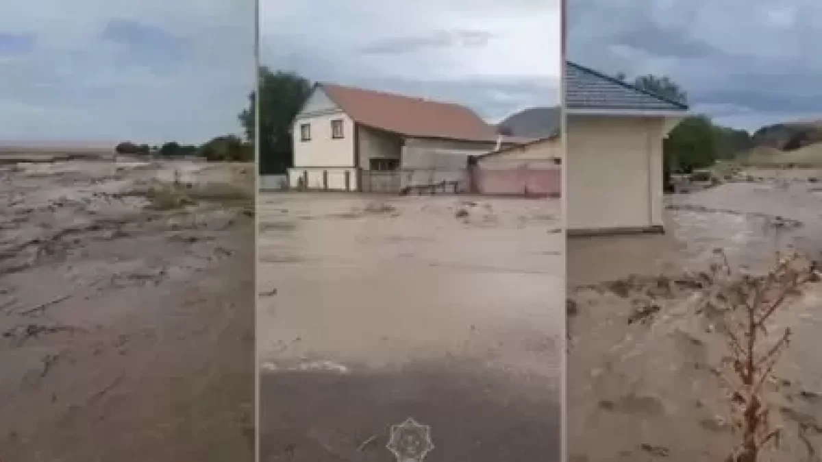 Алматы облысында сел жүріп, үйлерді су басты (ВИДЕО)