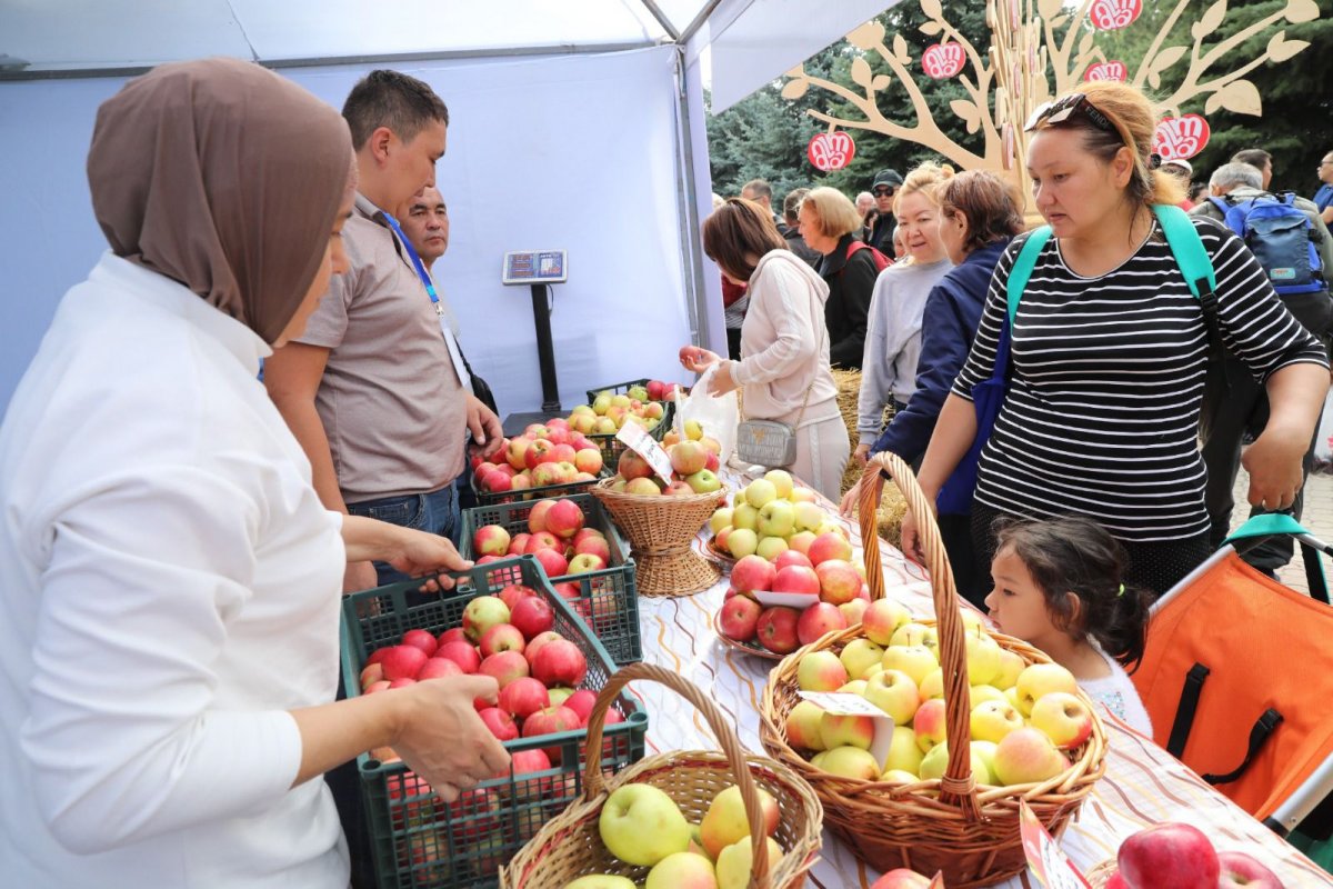 Apple Fest-2024: Hiro және Captown, 130 тонна алма, 1700 литр алма компоты және Шапито циркі