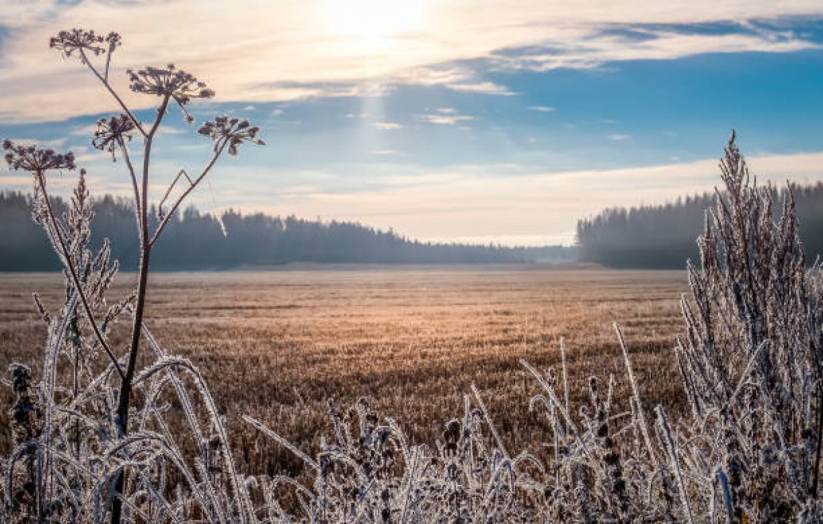 Бүгін еліміздің бірнеше өңірінде үсік жүреді