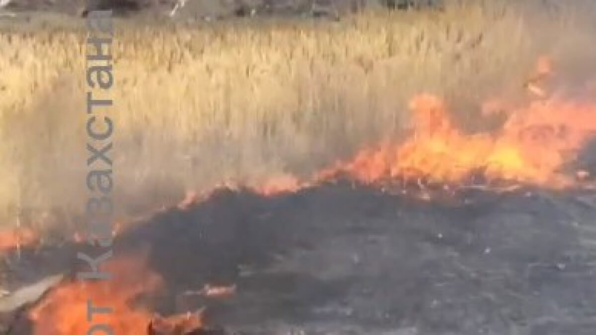 Қарағанды облысында кұрғақ шөп өртеніп, төрт адамды күйік шалды