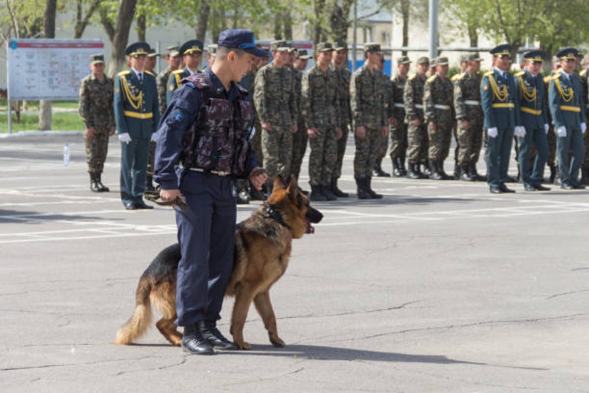 Қазақстанда запастағы офицерлерді әскери даярлау ережелері өзгереді