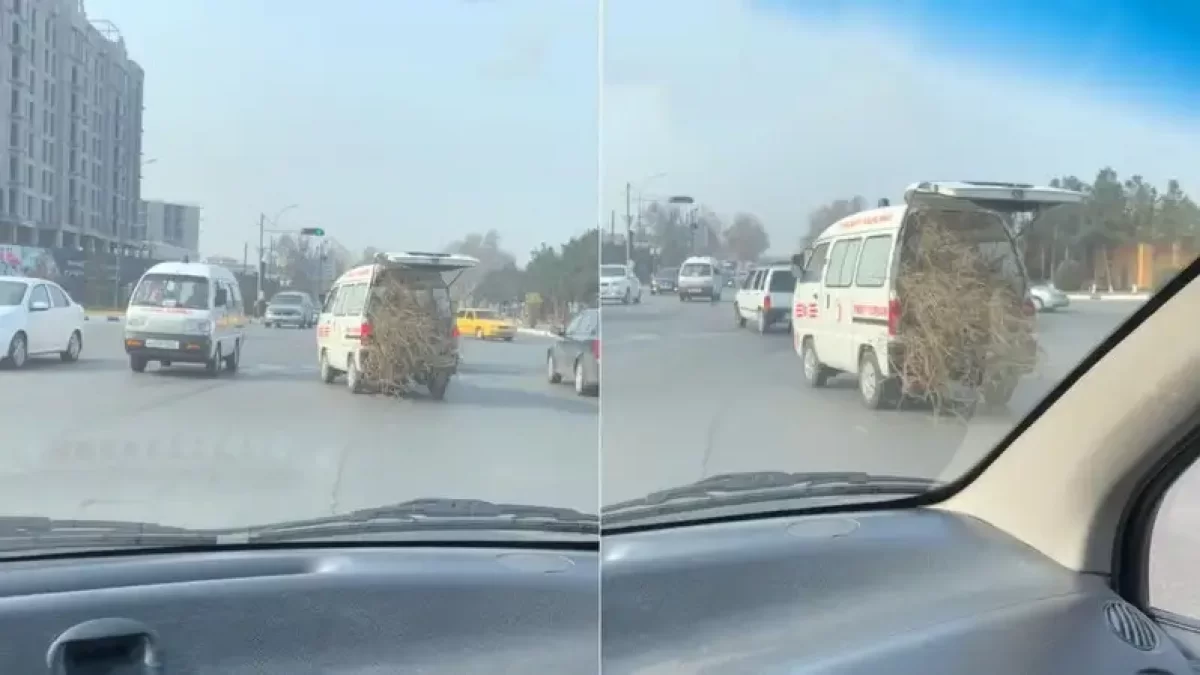 Жедел жәрдем көлігімен отын тасыған жүргізуші қызметінен босатылды