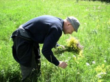 Шетелдіктер өсімдіктер мен жануарларды оңай алып кетеді