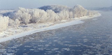 Ертіс өзені арнасынан тасуы мүмкін