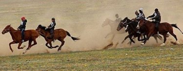 ЭКСПО Кубогы үшін өткен бәйгеге 150 сәйгүлік қатысты