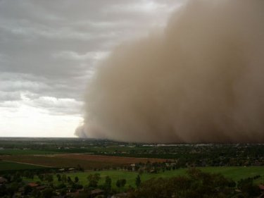 Шығыс Қазақстанда дауылдан бес адам зардап шекті