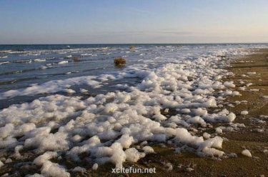 Арал теңізінің мәселесі Ресейде талқыланды