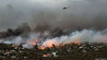 ТІРІНІ ЖАЛМАҒАН ТІЛСІЗ ЖАУ