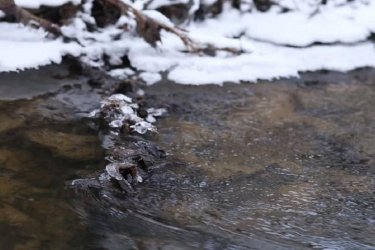 Қазақстанның бірнеше өңірінде өзен суының деңгейі көтеріледі