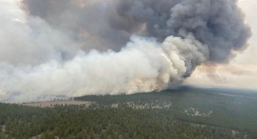 ШҚО: 4 мың гектарды шарпыған орман өртіне кінәлілер анықталды