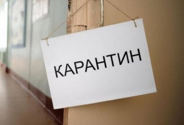 Алматы облысында 4 саяжай массиві карантинге жабылды