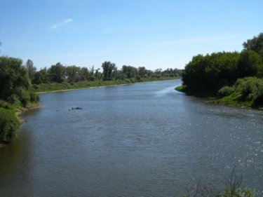 Тобыл өзенінен 49 жастағы әйелдің денесі табылды