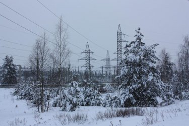 Праймеризде жеңіске жеткен нұротандық Қосшыдағы жағдайды өз бақылауына алды