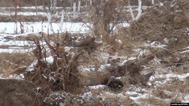 Ағаштың заңсыз оталуына наразы топ жолды кесілген ағаштармен жауып тастады