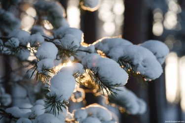 Еліміздің кей аймақтарында күн жылынады