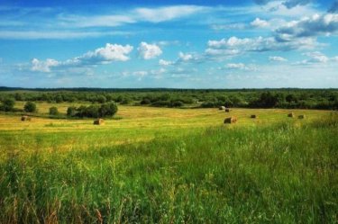 Министр шетелдіктерге берілген жердің көлемін жариялады