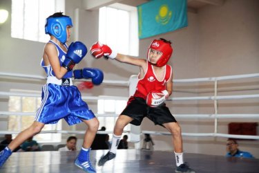 Спорт секциялары мен үйірмелердің жұмысы қайта жанданады