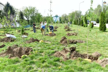 Университет аумағында "Елбасы саябағы" ашылды