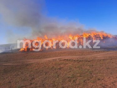 Батыс Қазақстан облысында 400 тонна шөп өртеніп кетті