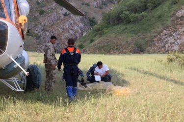 Сайрам-Өгем шатқалында өлі табылған 4 студенттің неден қаза тапқаны анықталды