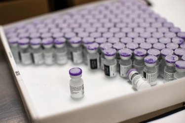 Қазақстанға Pfizer вакцинасының жаңа партиясы жеткізілді