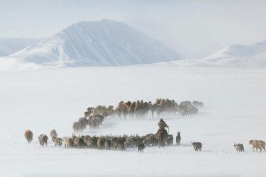 Моңғолияда жер сілкінді