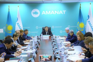 AMANAT партиясы Энергетика министрлігіне газдандыру бағдарламасын пысықтауды ұсынды