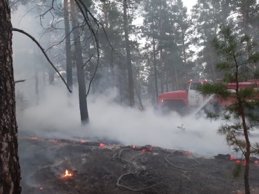 Семей маңындағы орман әлі өртеніп жатыр